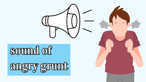 The Sound of an Angry Grunt: An Exploration of Human Emotion Through Vocal Expression